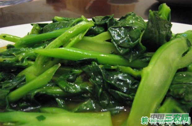 吃芥蓝有什么好处? 吃芥蓝有什么好处?