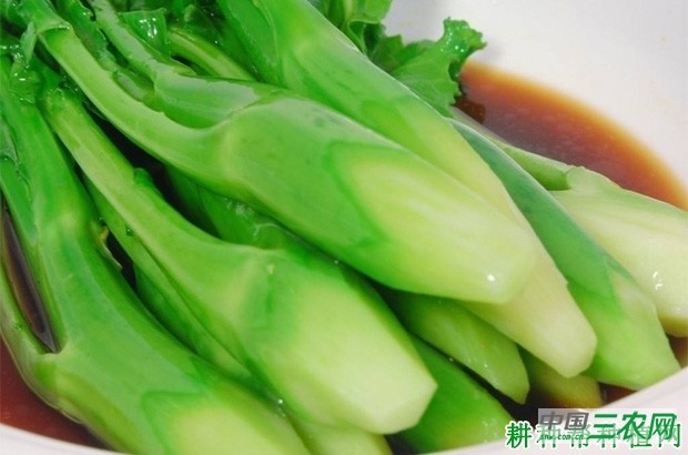 芥蓝有哪些功效与作用? 芥蓝有哪些功效与作用?