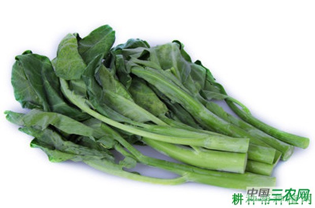 芥蓝有哪些功效与作用? 芥蓝有哪些功效与作用?