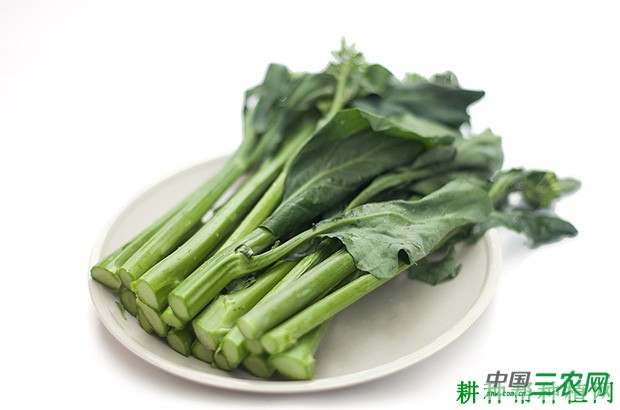 芥蓝有哪些营养成分？