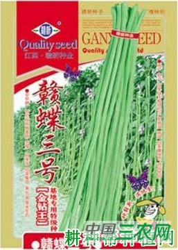 赣蝶3号豆角品种好不好？