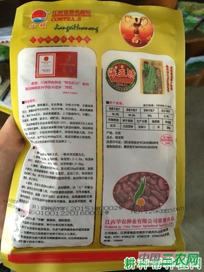 海亚特豆角品种好不好? 海亚特豆角品种好不好?