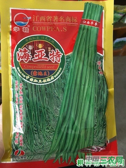 海亚特豆角品种好不好? 海亚特豆角品种好不好?