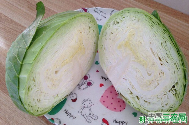 甘蓝有哪些营养成分? 甘蓝有哪些营养成分?