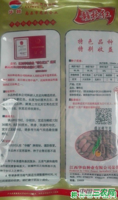 赣秋红豆角品种好不好？