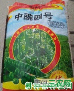 中豌4号豌豆品种好不好? 中豌4号豌豆品种好不好?