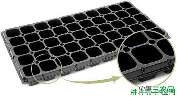 甘蓝如何育苗? 甘蓝如何育苗?