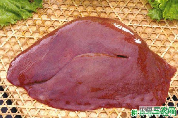 菠菜与什么不能同吃? 菠菜与什么不能同吃?