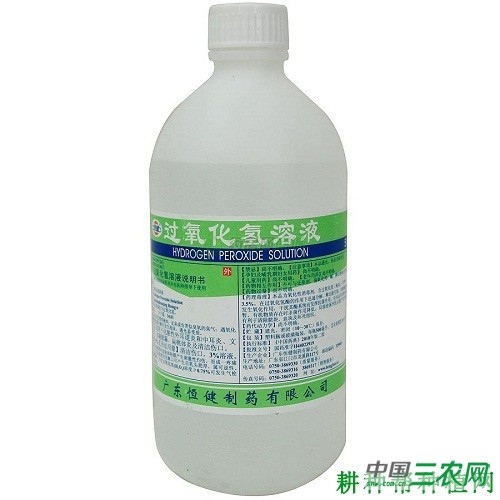 菠菜种子播种前如何处理? 菠菜种子播种前如何处理?