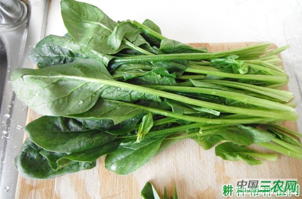 菠萝有哪些功效与作用? 菠萝有哪些功效与作用?