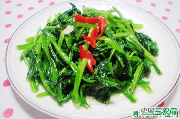 菠萝有哪些功效与作用? 菠萝有哪些功效与作用?