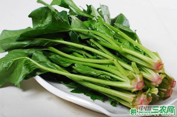 吃菠菜有什么好处? 吃菠菜有什么好处?