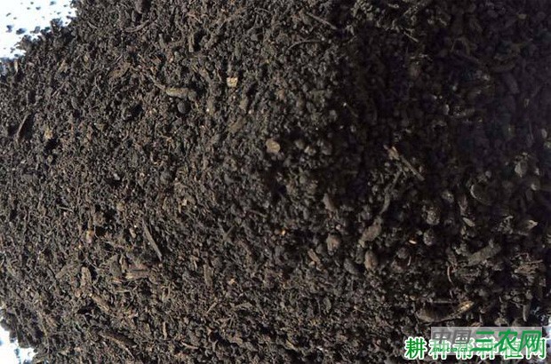 种植菠菜如何施肥? 种植菠菜如何施肥?