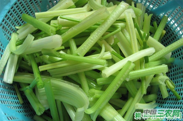 吃芹菜有哪些好处？