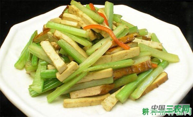 芹菜有哪些药用价值？