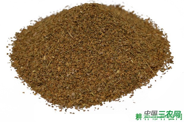 芹菜种子如何处理? 芹菜种子如何处理?