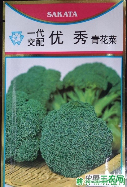 优秀西兰花(青花菜)品种好不好? 优秀西兰花(青花菜)品种好不好?