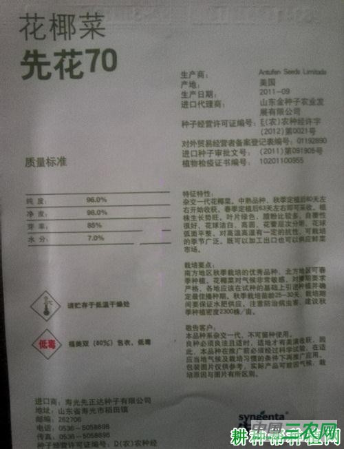 先花70花椰菜品种好不好？