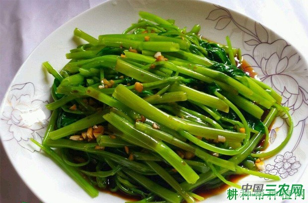 吃空心菜的功效与作用是什么？