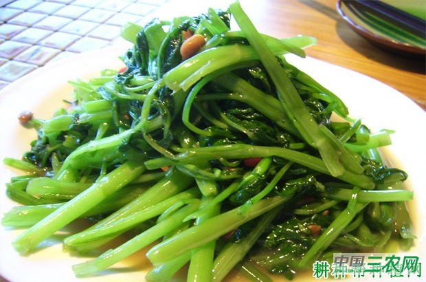 孕妇可以吃空心菜吗? 孕妇可以吃空心菜吗?