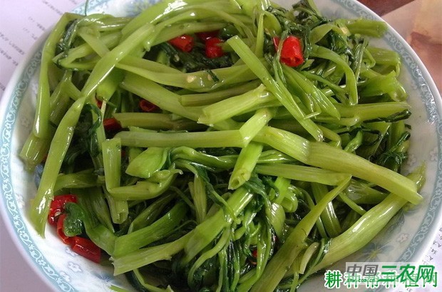 吃空心菜有什么好处? 吃空心菜有什么好处?