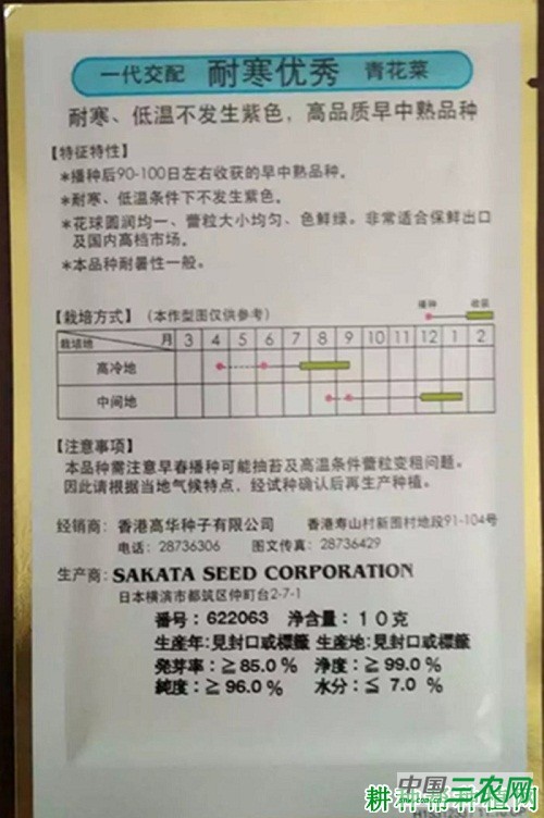 耐寒优秀青花菜品种好不好？