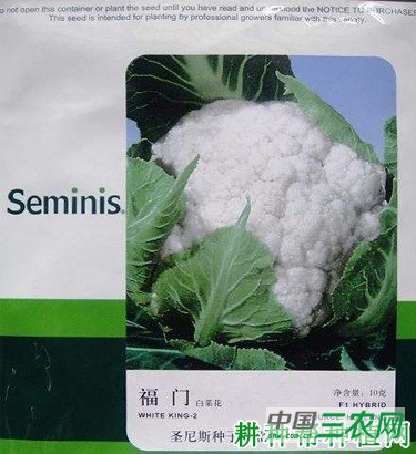 福门花椰菜品种好不好？