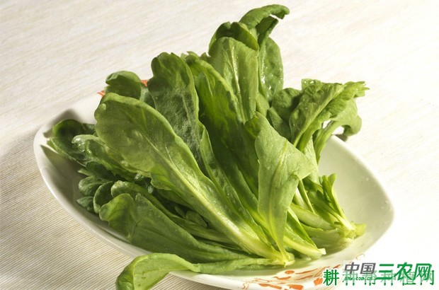 吃茼蒿菜有什么好处？