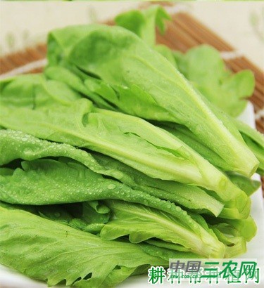 吃茼蒿菜有什么好处？