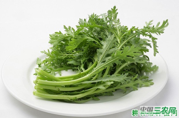 茼蒿菜为什么叫皇帝菜？