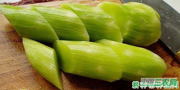 莴笋（莴苣）有哪些功效与作用？