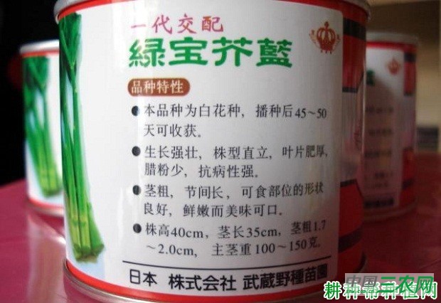 绿宝芥兰芥蓝品种好不好？