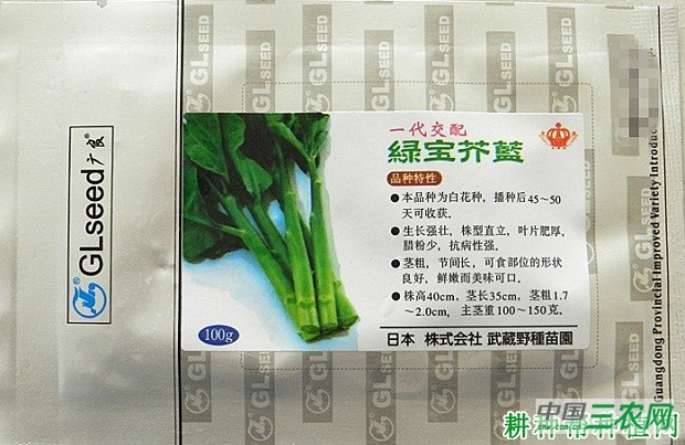 绿宝芥兰芥蓝品种好不好？