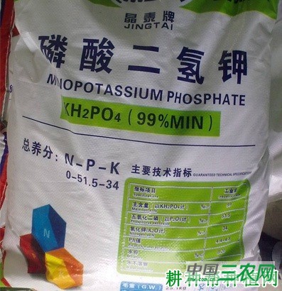 种植生菜怎么施肥？