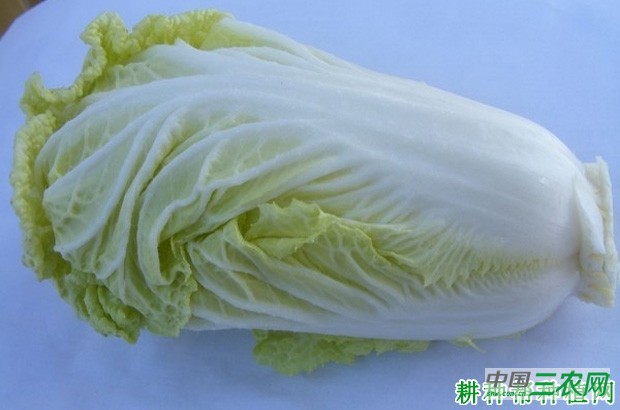 吃大白菜有什么好处？