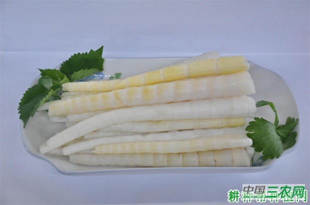 竹笋含有哪些营养成分？