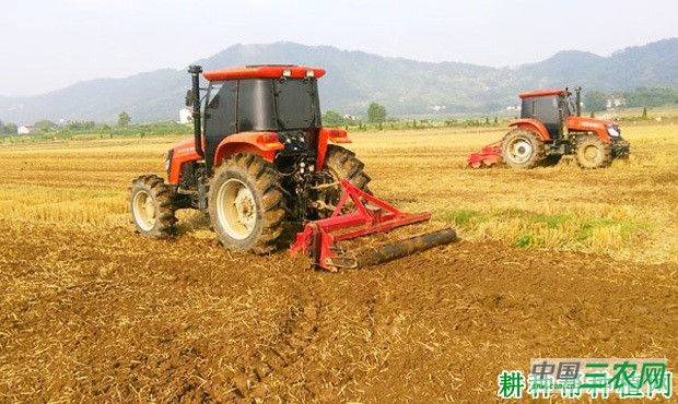 秋大白菜如何种植？