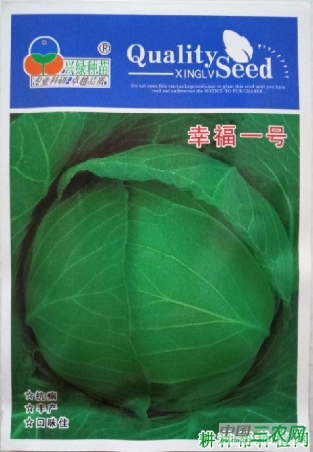 兴福1号甘蓝品种好不好？