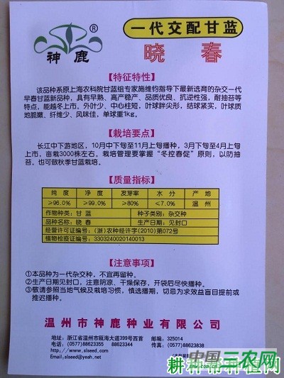 晓春甘蓝品种好不好？