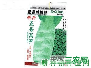 科兴5号莴笋品种好不好？