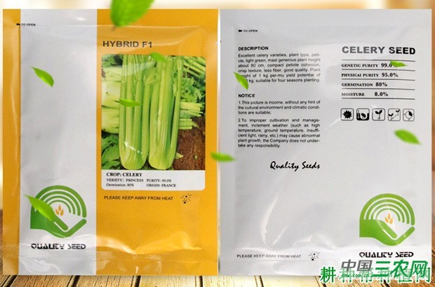 帝王芹菜品种好不好？