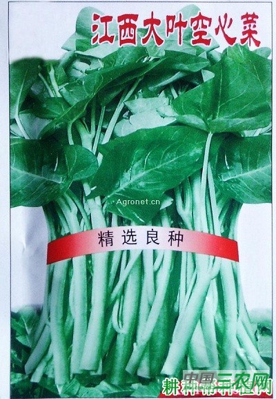 江西吉安大叶蕹菜好不好？