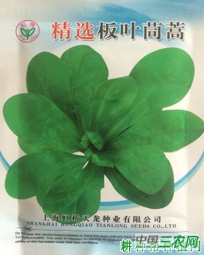 板叶茼蒿品种好不好？