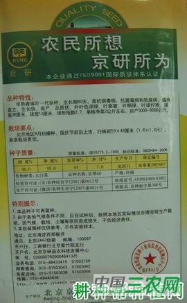 京翠60号大白菜品种好不好？