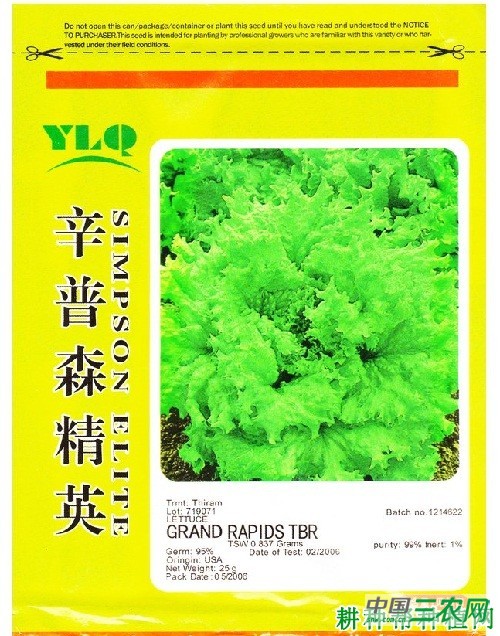 辛普森精英生菜品种好不好？