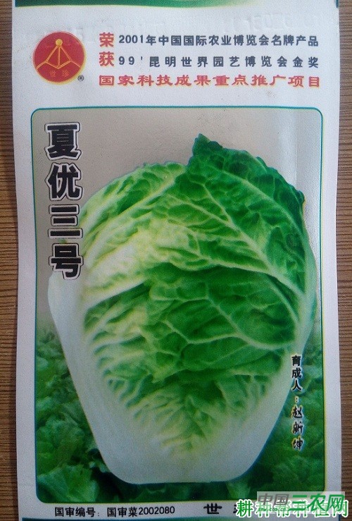 夏优三号大白菜品种好不好？