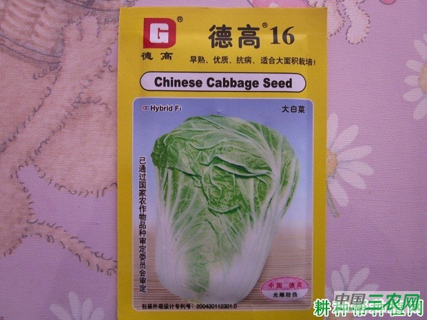 德高16大白菜品种好不好？
