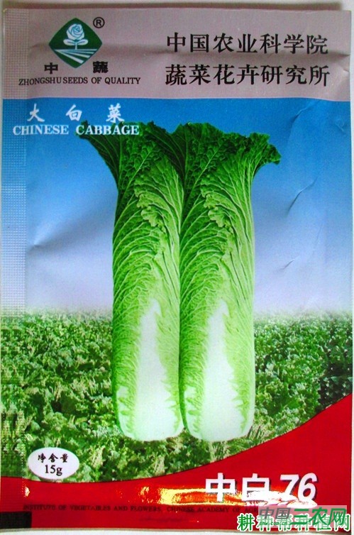 中白76大白菜品种好不好？