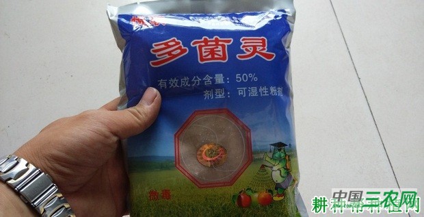 种植苦瓜如何进行土壤消毒？