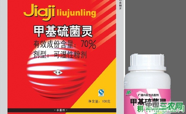 种植苦瓜如何进行土壤消毒？